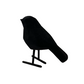 Velvet Black Bird