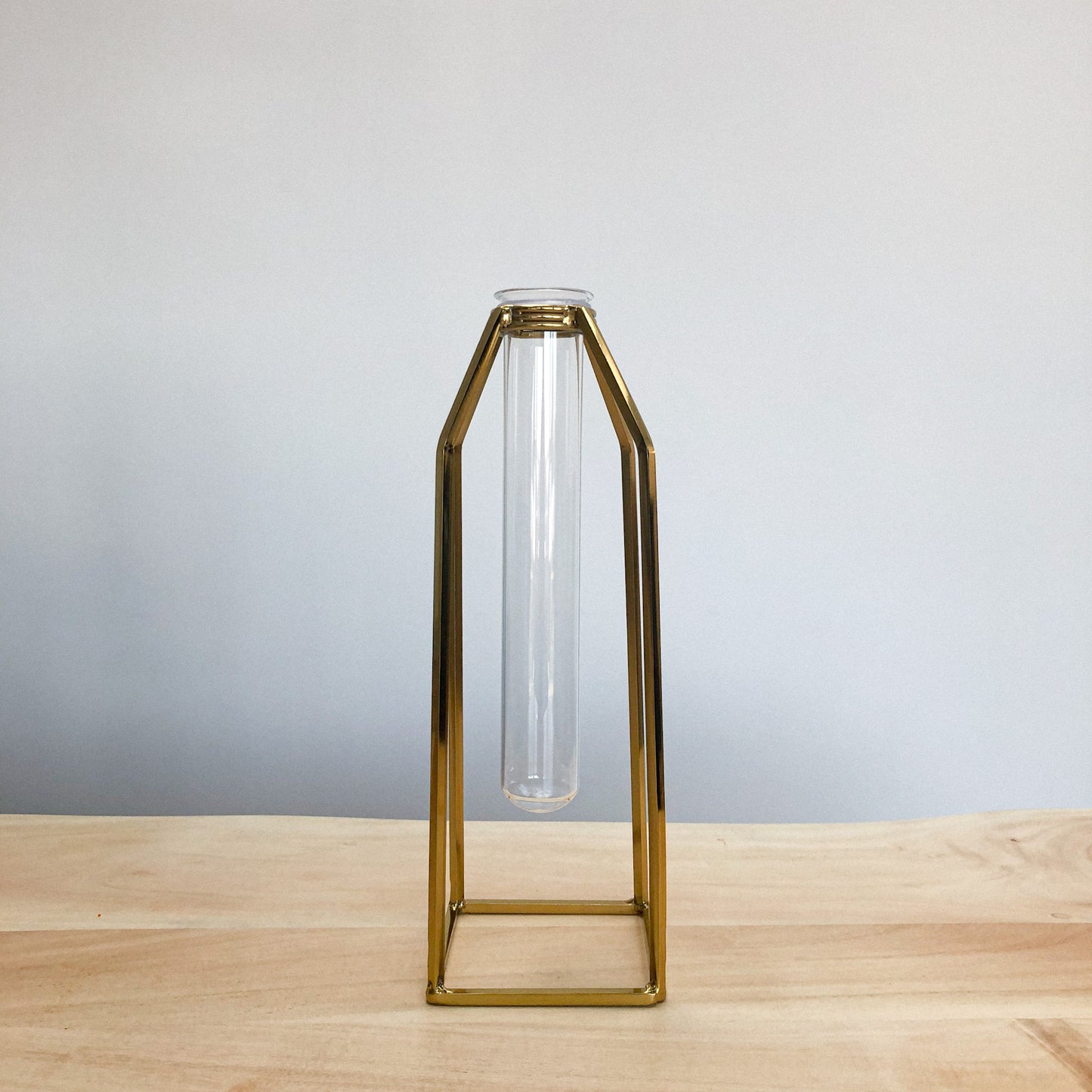 Single Oversized Test Tube Vase With Gold Stand