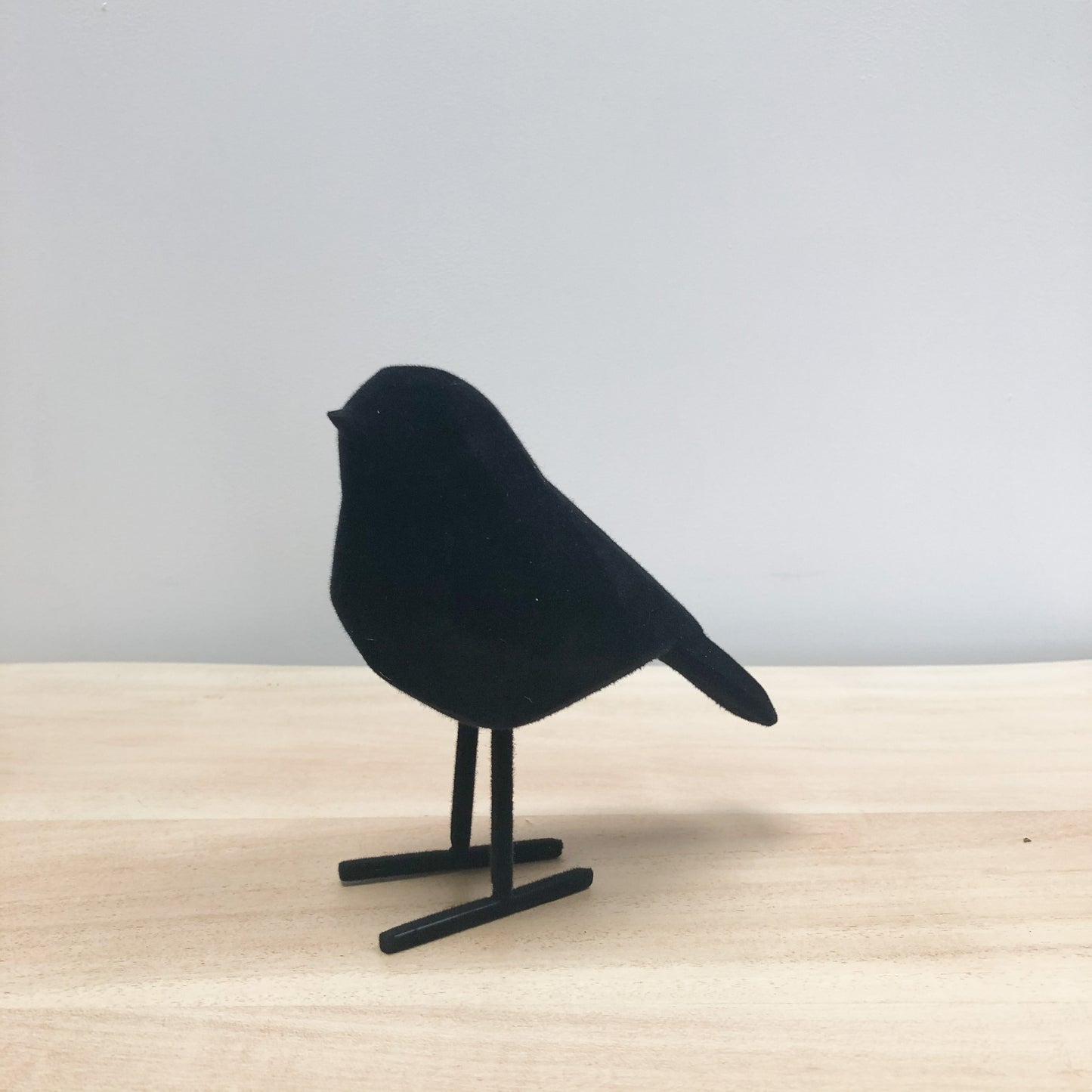 Velvet Black Bird