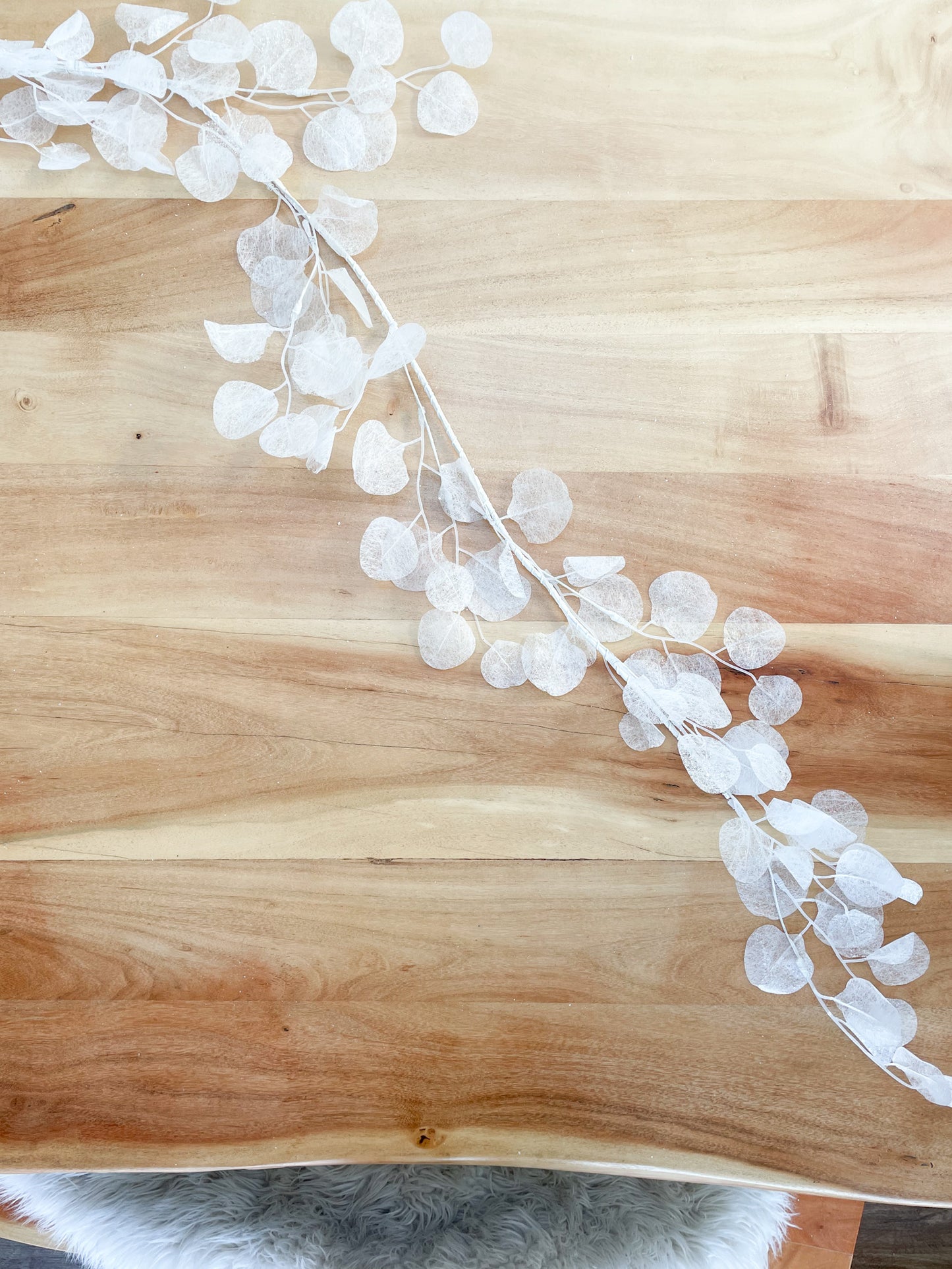 Frosted Honesty Garland